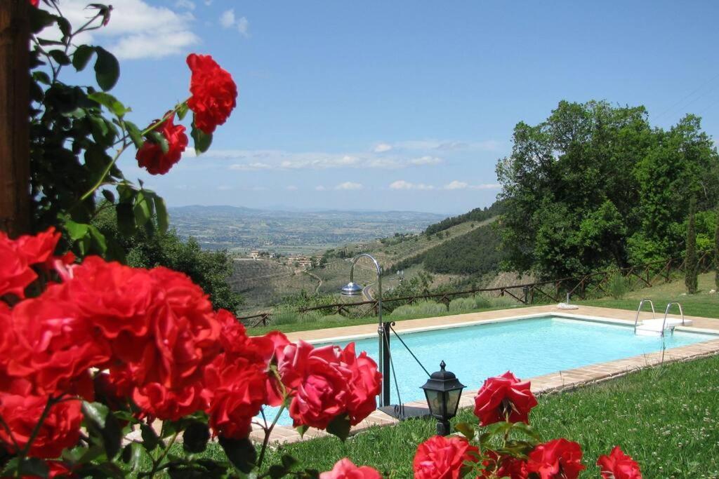 All Stone Horse Stable Converted To Elegant Apartment - Baltimora Spoleto Eksteriør bilde